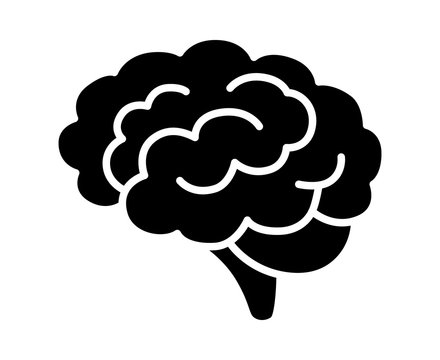 Brain